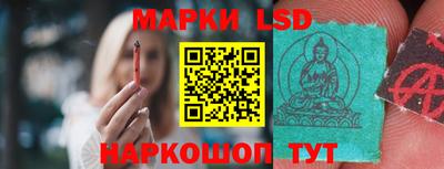 шишки Кимры