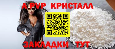 шишки Кимры